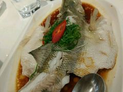 -至潮餐厅精致粤菜·活鲈鱼·走地鸡(珠江新城店)
