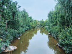 -济南大明湖景区
