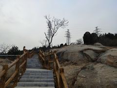 -白水寺森林公园