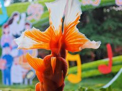 -北京市劳动人民文化宫(太庙)