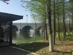 -尚贤河湿地