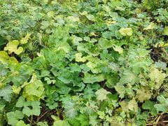 -西山人家·二十年老字号农家菜(旺山店)