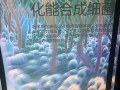 -同济大学四平路校区深海探索馆