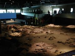 -自贡恐龙博物馆