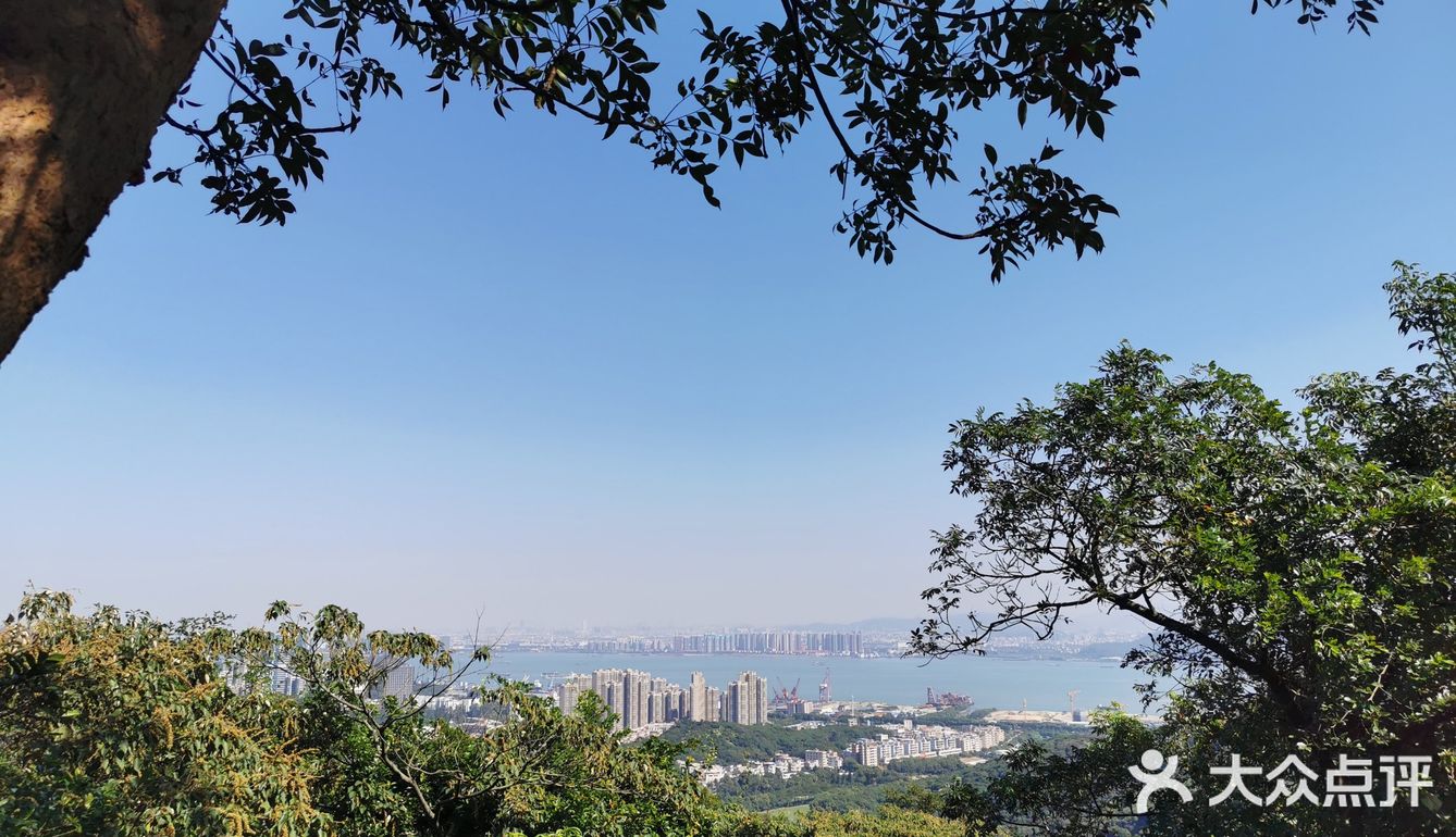 南沙黄山鲁森林公园