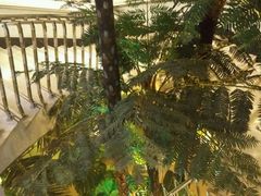 -东方之珠洗浴休闲广场(于家堡店)