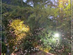 -楠柏弯休闲山庄(梨花溪店)