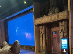 -华夏文旅西安度假区