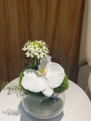 -Yestar宁波艺星整形医院