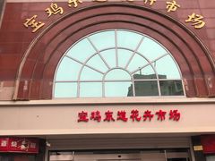 -宝鸡东道花鸟鱼虫市场(吉利花园商场店)