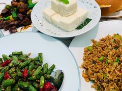 雪方椰奶冻-大树餐厅(朝阳大悦城店)