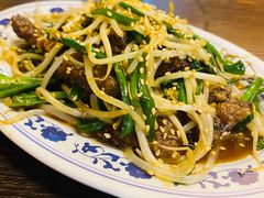 -拉面莊夢語＆中华料理八椿