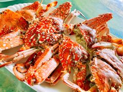 螃蟹-亚龙湾8号(丁村万人海鲜广场店)