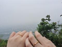 -杭州半山国家森林公园