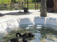 -珠海海泉湾神秘岛亲子乐园