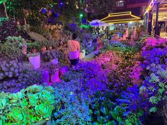 -山菌美食苑(振兴路店)