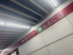 -大望路(地铁站)