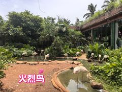 -海南热带野生动植物园