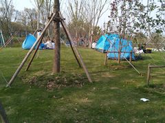 -春花秋色城市公园