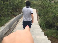 -五龙城郊森林公园