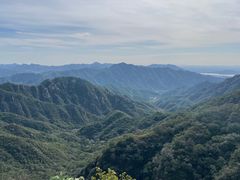 -大岭沟猕猴桃谷风景区