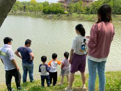 -上海海湾国家森林公园