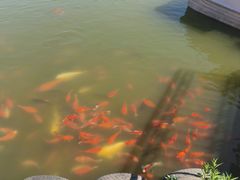 -仁和公园(顺义区)