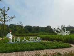 -东郊湿地公园