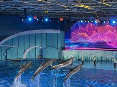 -海合安青岛极地海洋公园