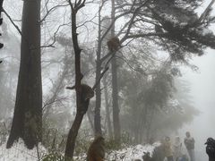 -庐山风景区花径公园