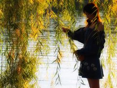 -卫鼎轩·家宴(水上公园店)