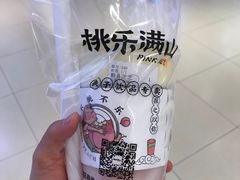 粉荔多肉芝芝-桃乐满山(川沙百联店)