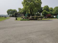 -荷塘月色湿地公园·向阳花洲