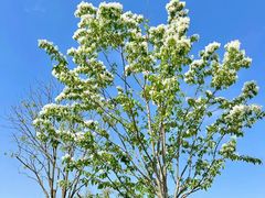 -上海植物园-4号门售票处