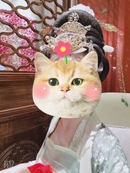 -盘子女人坊古装写真摄影(南京总店)