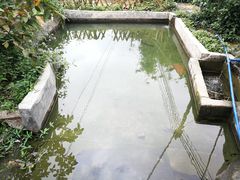 -丰依竹食·老牌竹筒饭