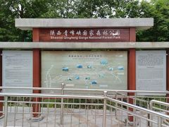 -青峰峡国家森林公园