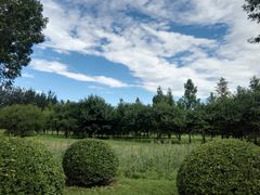 -卡本妮法餐厅·北京和平宾馆