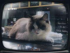 -咖法森林·咖啡  酒吧(天河店)