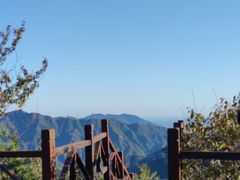 -大岭沟猕猴桃谷风景区