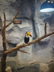 -Zoolung Zoolung动物主题公园(海信广场店)