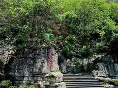 -铁山坪森林公园