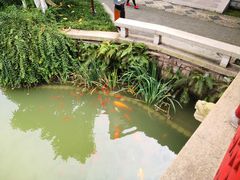 -龙潭水乡