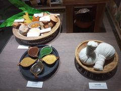 -广东中医药博物馆