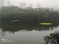 -重庆彩云湖湿地公园