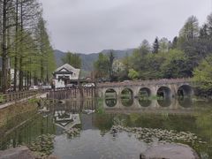 -九华山聚龙大酒店