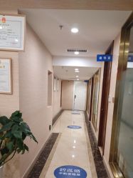 -碧莲盛·不剃发植发