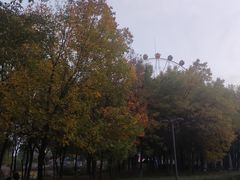 -西安浐灞国家湿地公园