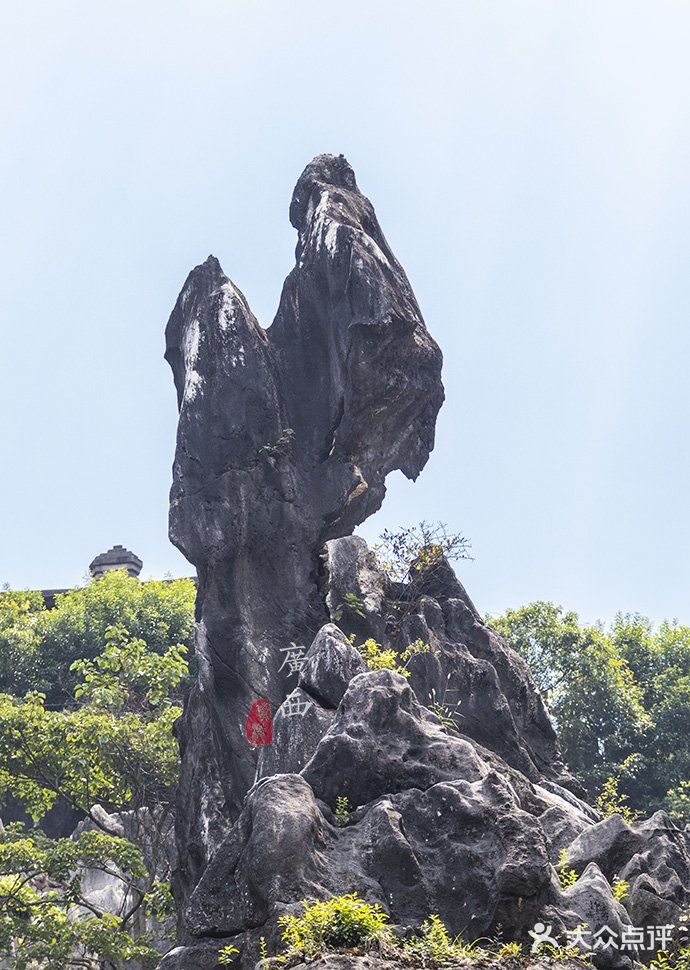贺州玉石林里都是“玉”