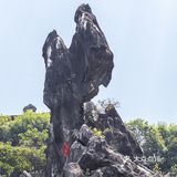贺州玉石林里都是“玉”
